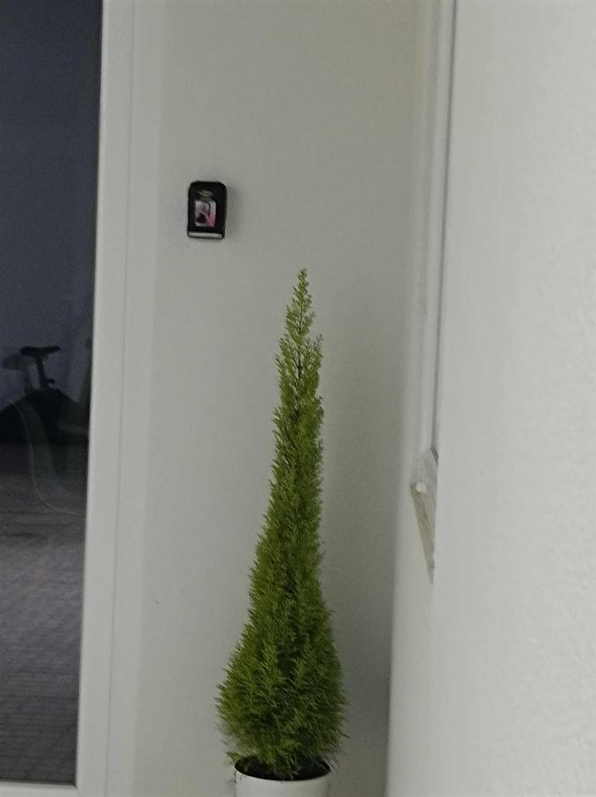 Casa De Praia Daniel Lavra Zewnętrze zdjęcie